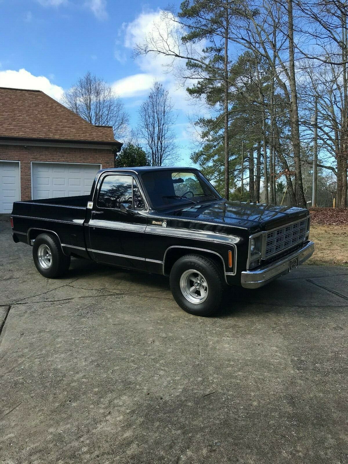 1979 Chevrolet Silverado 1500 Silverado - photo 4