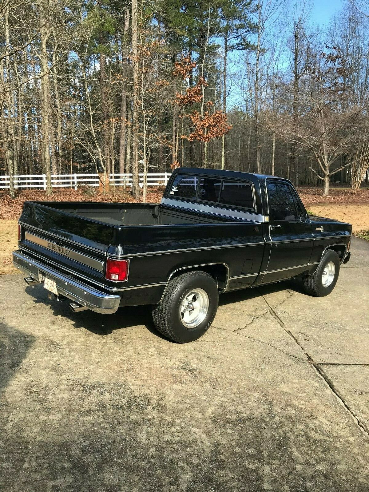 1979 Chevrolet Silverado 1500 Silverado - photo 5