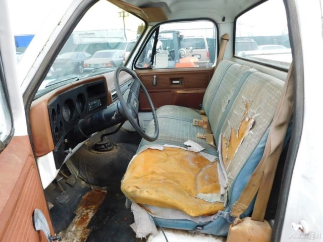 1979 Chevrolet Other Pickups - photo 10