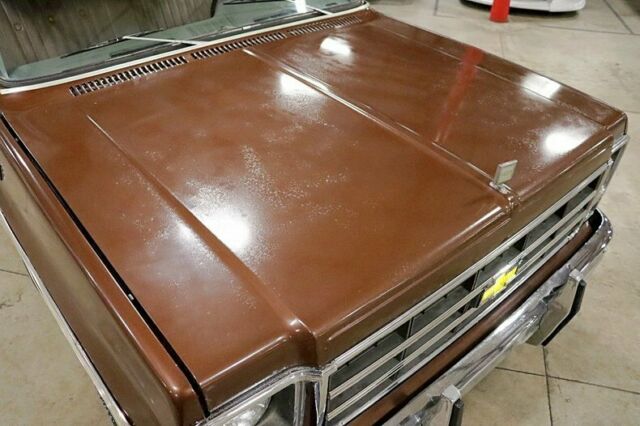 1979 Chevrolet Suburban Silverado - photo 9