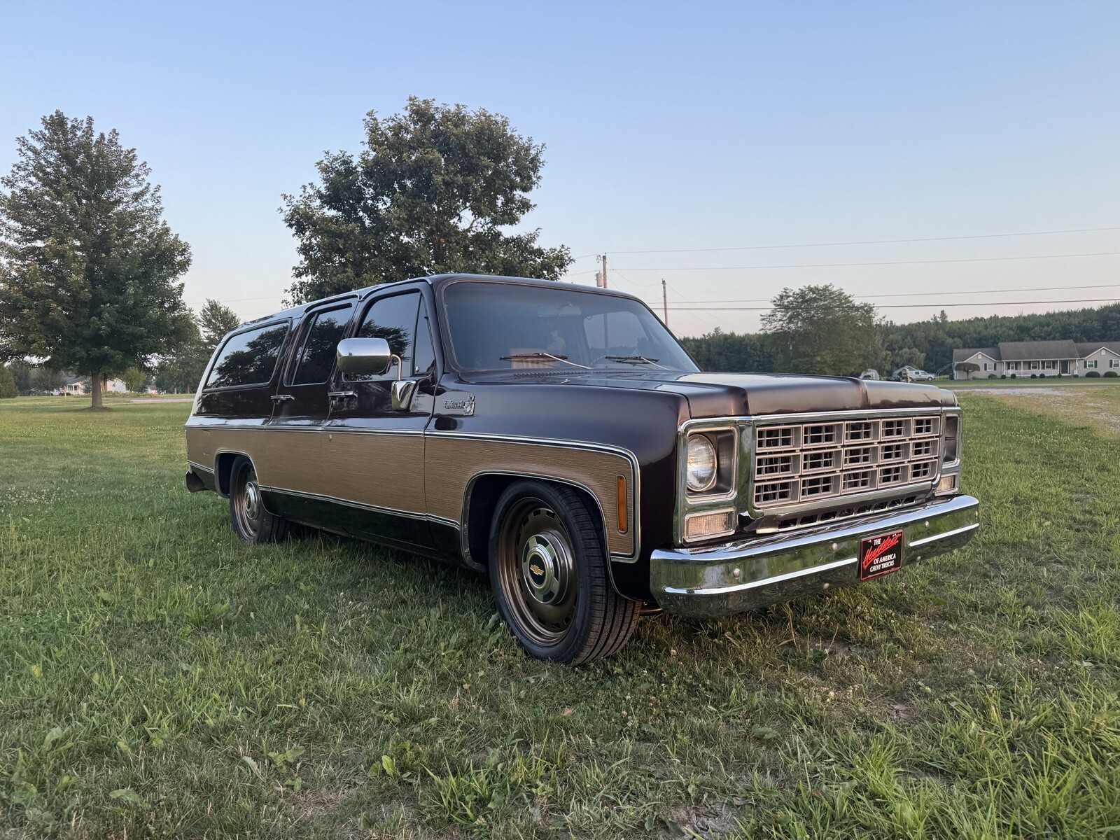 1979 Chevrolet Suburban Silverado - photo 5