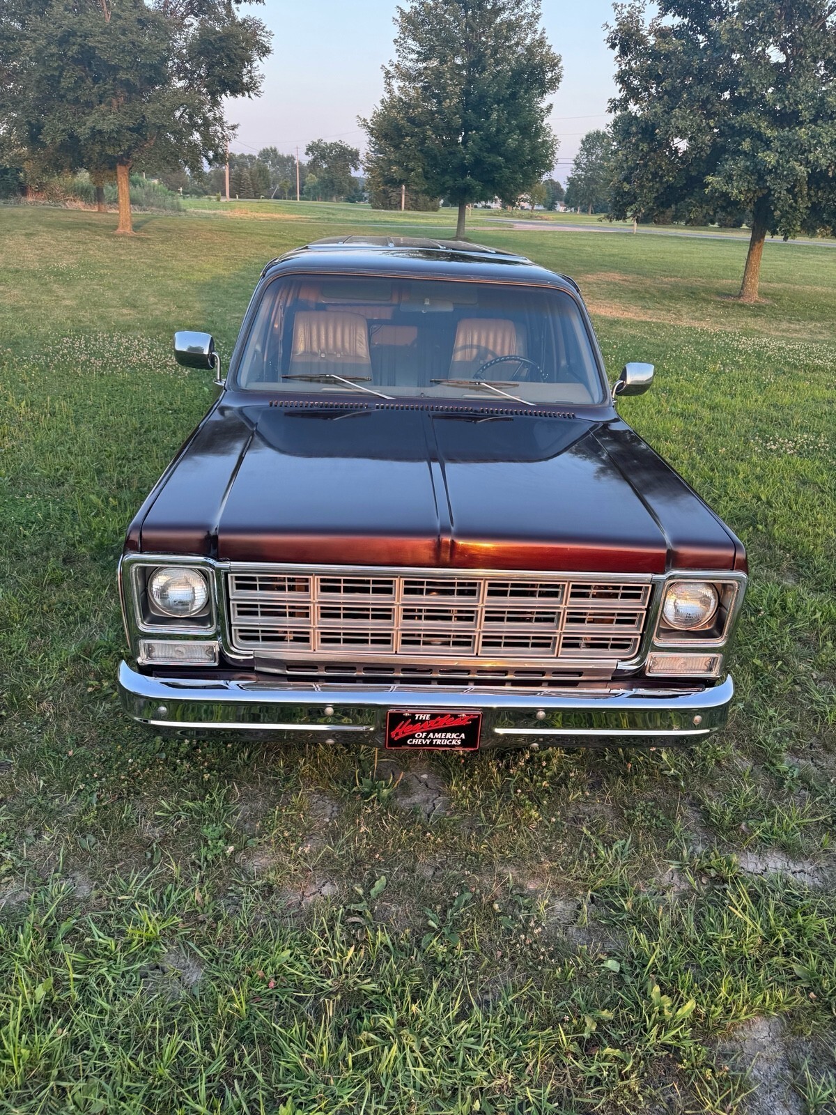 1979 Chevrolet Suburban Silverado - photo 9