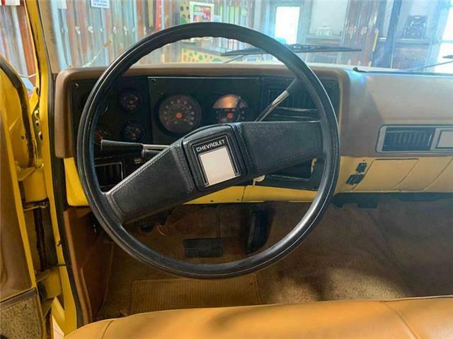 1979 Chevrolet Suburban Silverado - photo 11