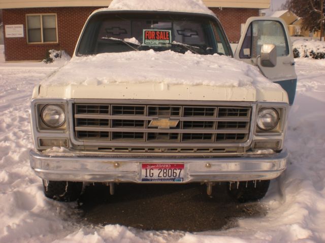 1979 Chevrolet C/K Pickup 1500 - photo 3