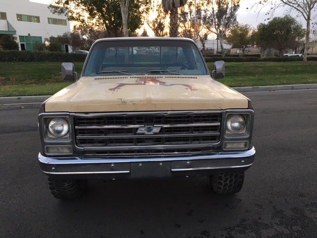 1979 Chevrolet Other Pickups 1979 Chevy Truck, K10 4X4 Short Bed Truck - photo 3