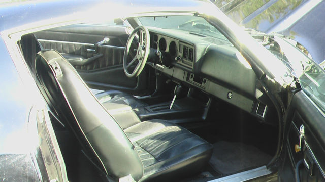 1979 Chevrolet Camaro Z28 - photo 8