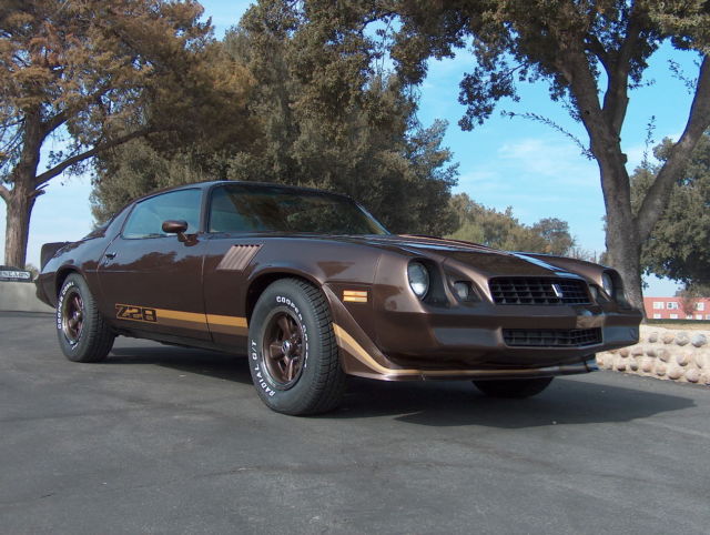 1979 Chevrolet Camaro Z28 - photo 10