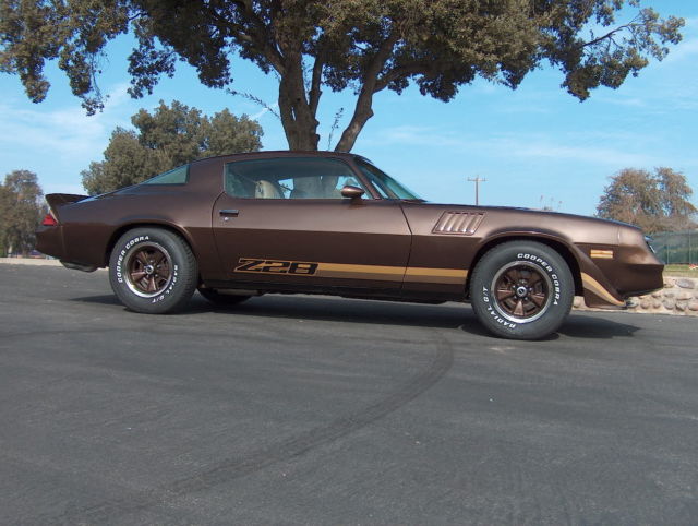 1979 Chevrolet Camaro Z28 - photo 11