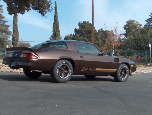 1979 Chevrolet Camaro Z28 - photo 12