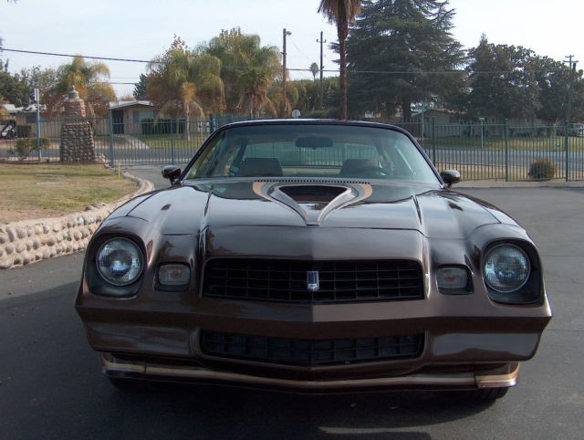 1979 Chevrolet Camaro Z28 - photo 6
