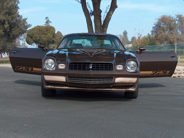 1979 Chevrolet Camaro Z28 - photo 8