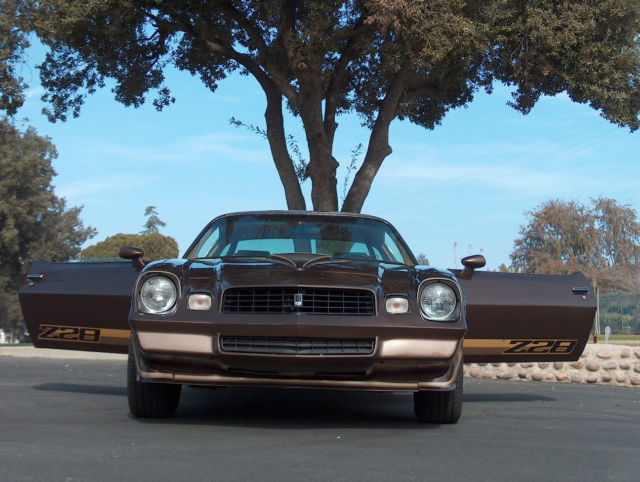 1979 Chevrolet Camaro Z28 - photo 9