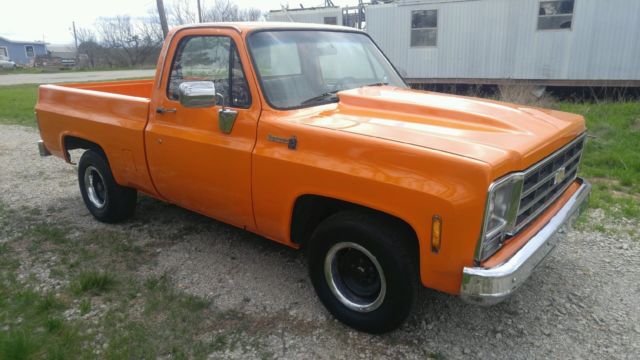 1979 Chevrolet Other Pickups Bonanza - photo 2