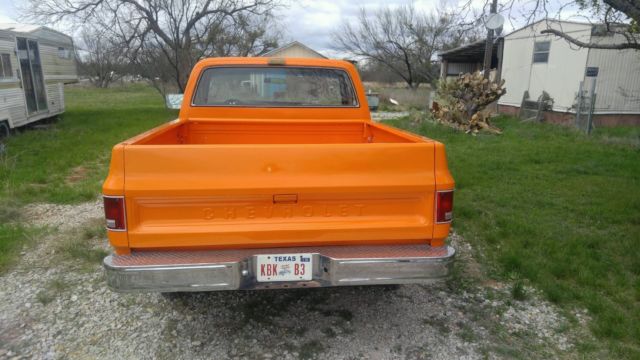 1979 Chevrolet Other Pickups Bonanza - photo 4