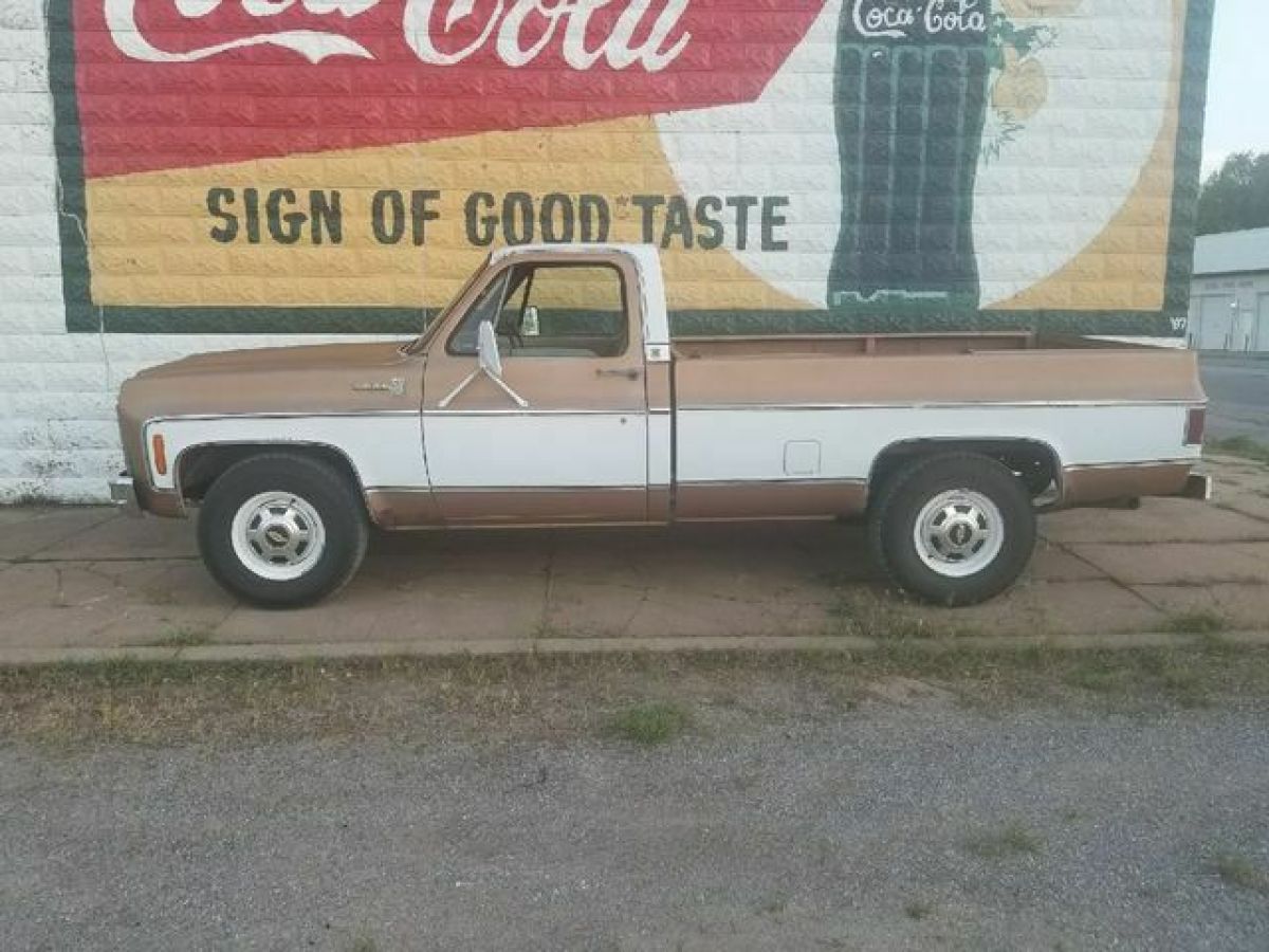 1979 Chevrolet C/K Pickup 2500 Scottsdale - photo 3