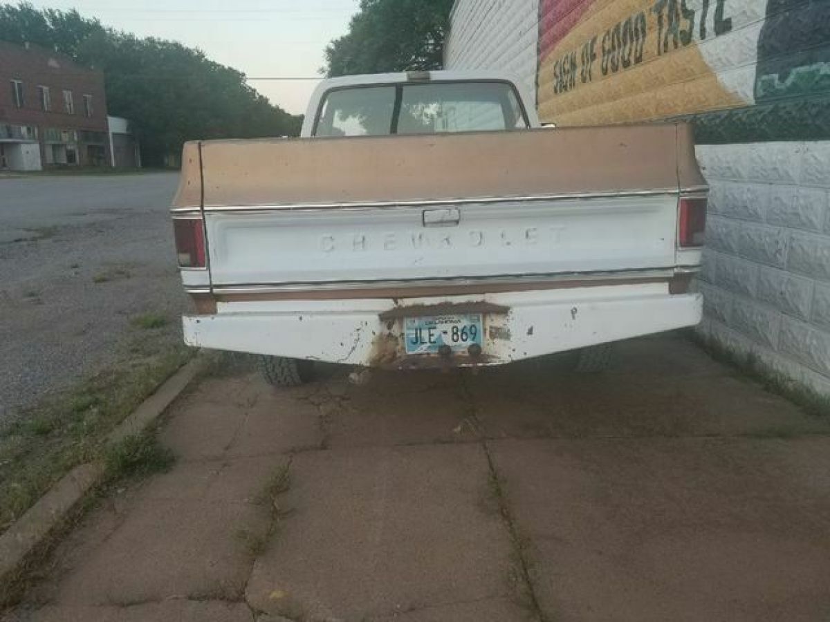 1979 Chevrolet C/K Pickup 2500 Scottsdale - photo 4