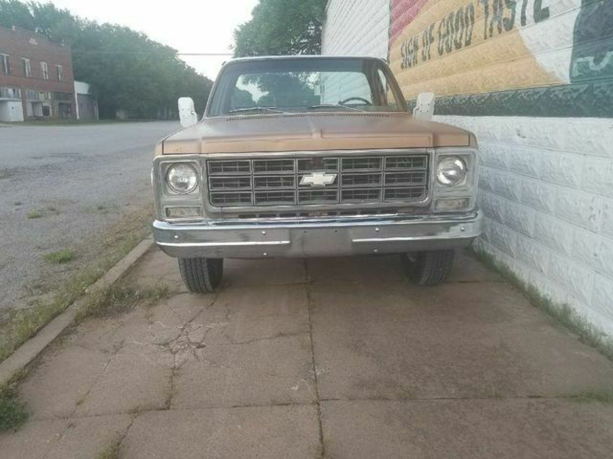 1979 Chevrolet C/K Pickup 2500 Scottsdale - photo 9