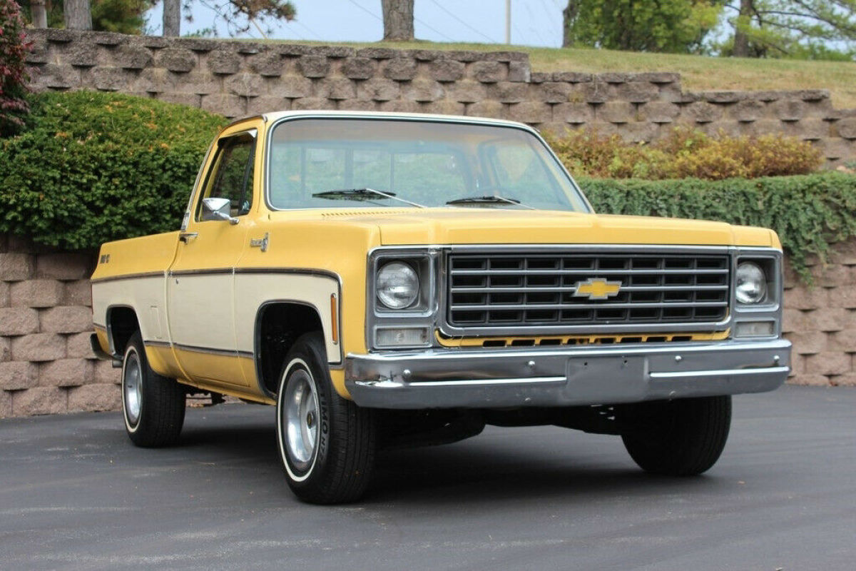 1979 Chevrolet C-10 - photo 5