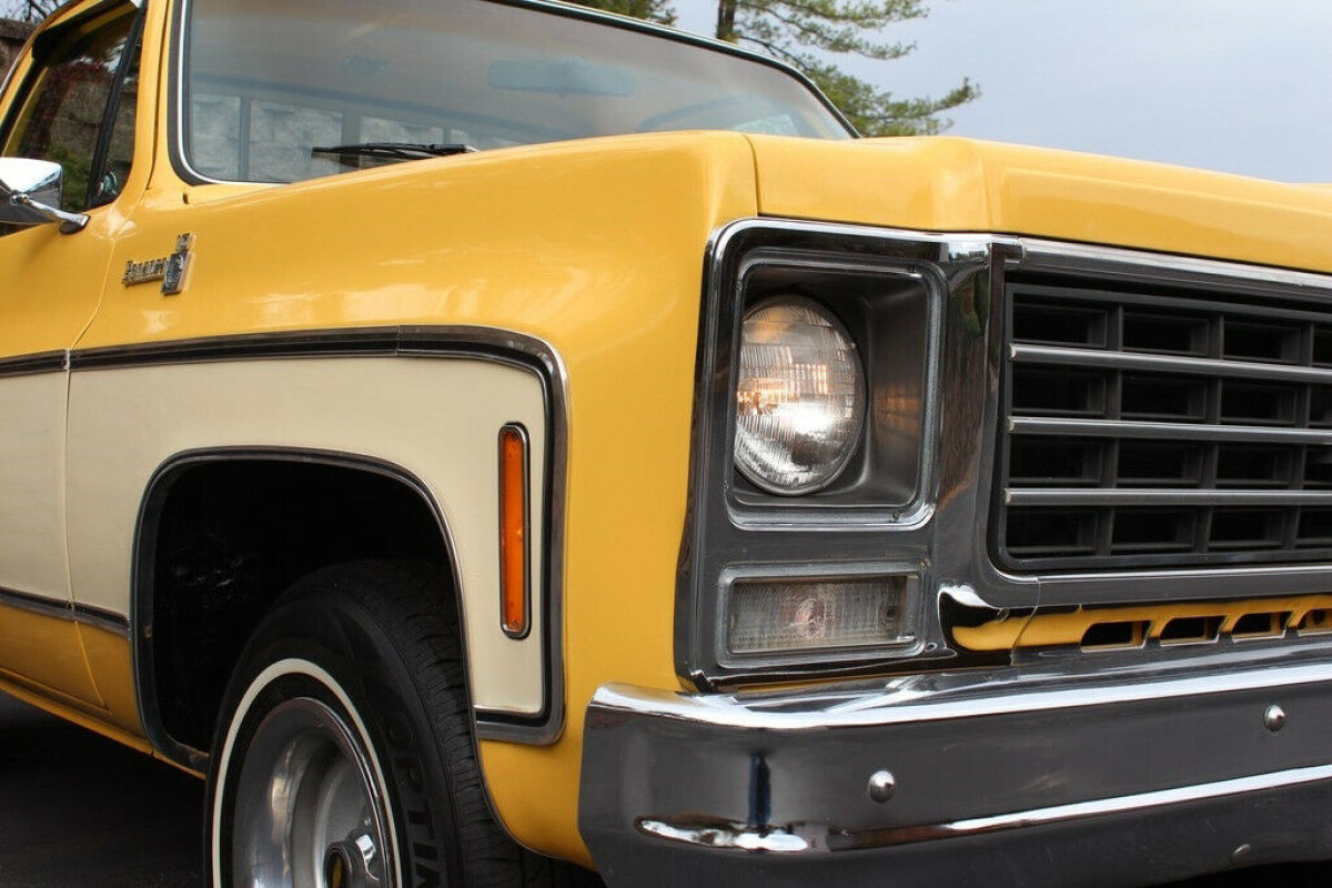 1979 Chevrolet C-10 - photo 6