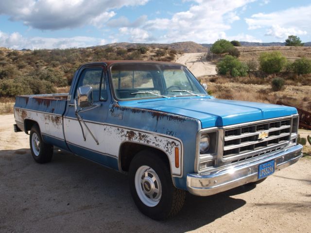 1979 Chevrolet C-10 cheyanne - photo 2