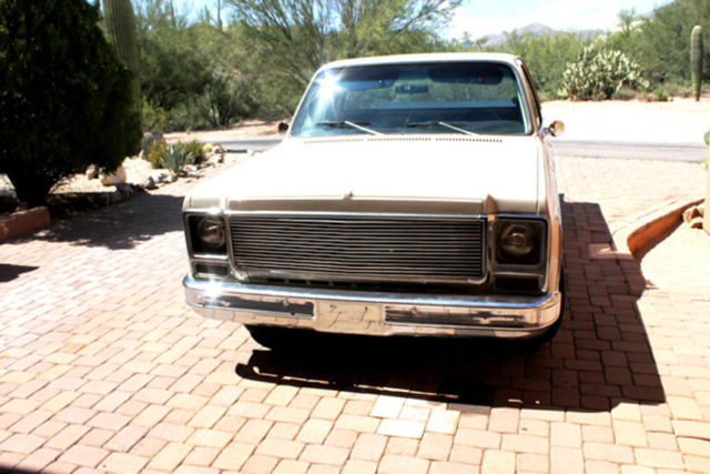 1979 Chevrolet C-10 - photo 3
