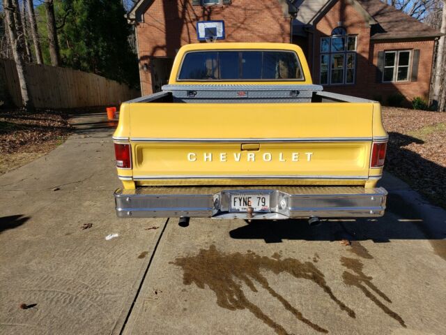 1979 Chevrolet C-10 - photo 9