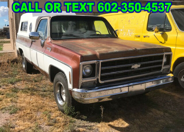 1979 Chevrolet C-10 Cheyenne - photo 5