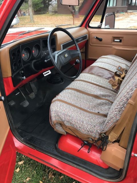 1979 Chevrolet C-10 Custom - photo 6