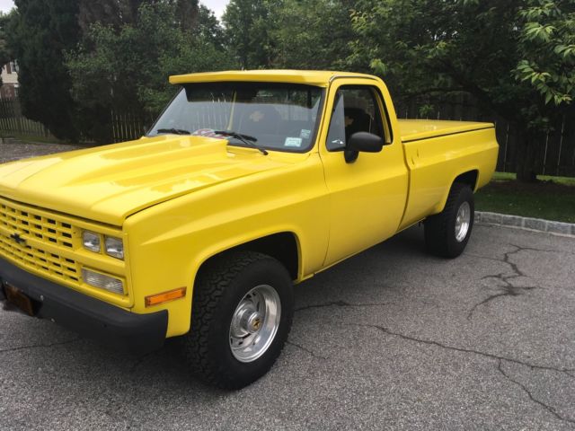 1979 Chevrolet Other Pickups Yellow/Black - photo 3