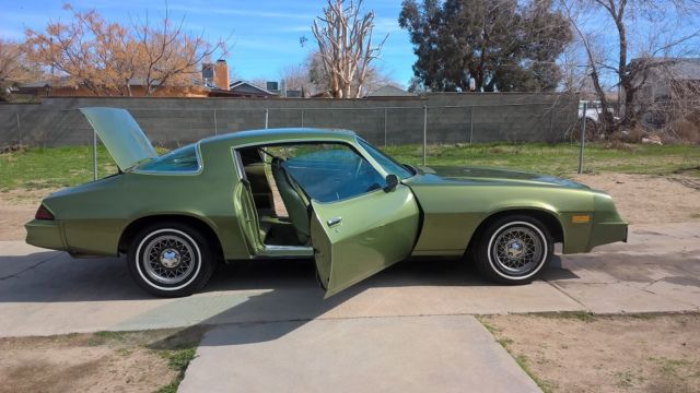 1979 Chevrolet Camaro Berlinetta - photo 8