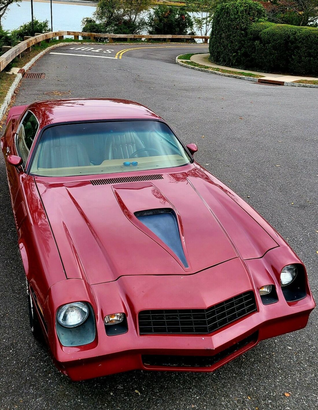 1979 Chevrolet Camaro - photo 8