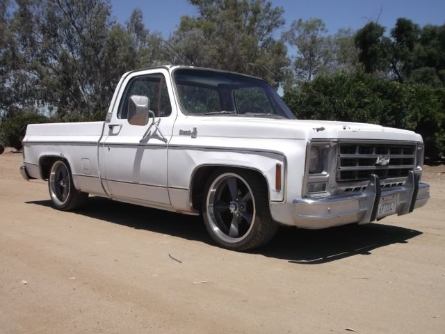 1979 Chevrolet Other C10 - photo 2