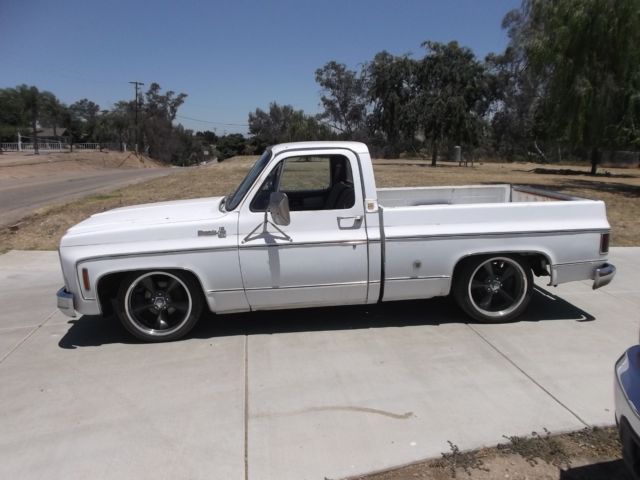 1979 Chevrolet Other C10 - photo 5