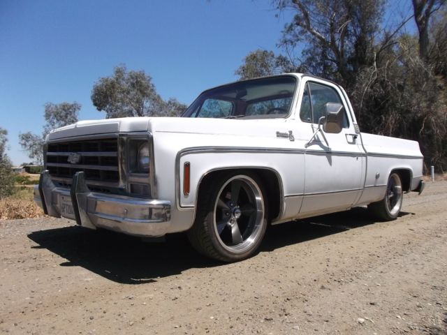 1979 Chevrolet Other C10 - photo 9