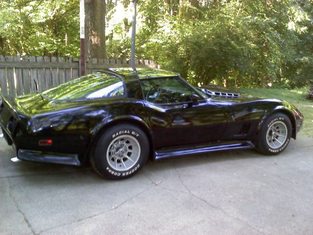 1979 Chevrolet Corvette C-3 - photo 10