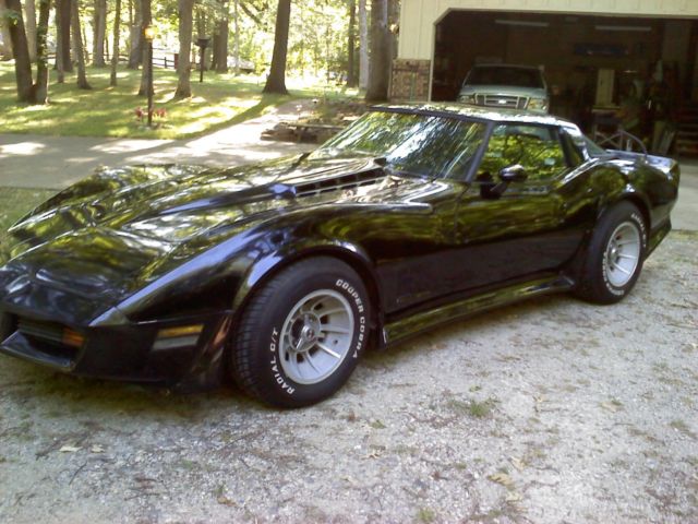 1979 Chevrolet Corvette C-3 - photo 11
