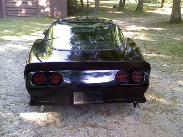 1979 Chevrolet Corvette C-3 - photo 12