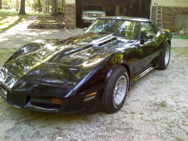 1979 Chevrolet Corvette C-3 - photo 2