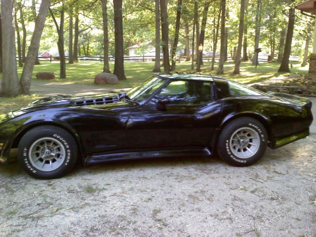 1979 Chevrolet Corvette C-3 - photo 3