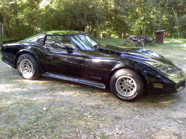 1979 Chevrolet Corvette C-3 - photo 4