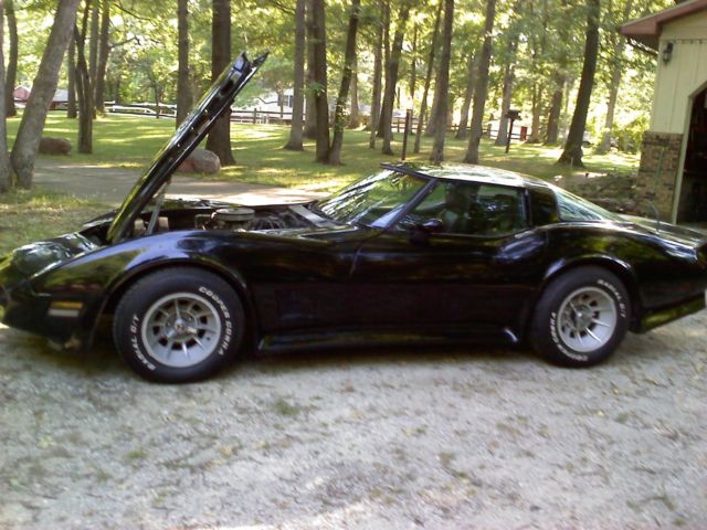 1979 Chevrolet Corvette C-3 - photo 7
