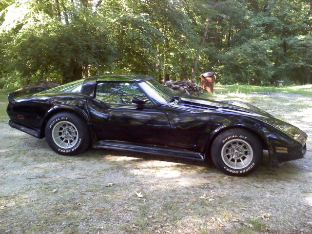 1979 Chevrolet Corvette C-3 - photo 8