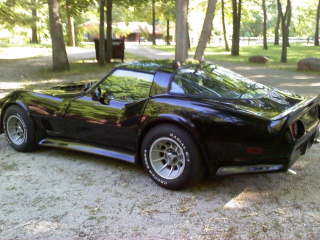1979 Chevrolet Corvette C-3 - photo 9