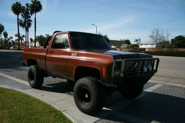 1979 Chevrolet C/K Pickup 1500 Custom Deluxe - photo 3