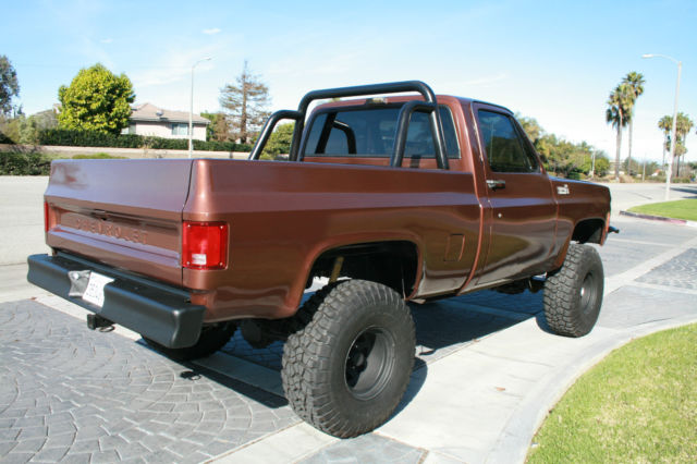 1979 Chevrolet C/K Pickup 1500 Custom Deluxe - photo 4