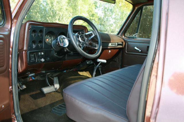 1979 Chevrolet C/K Pickup 1500 Custom Deluxe - photo 6