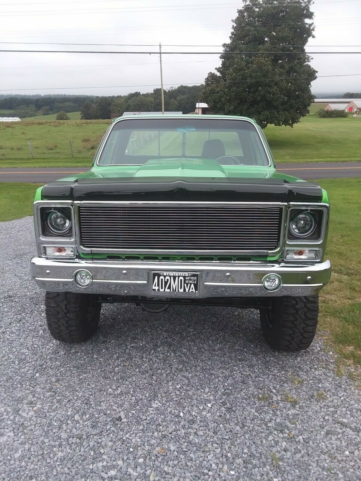 1979 Chevrolet C-10 CHEYENNE - photo 5