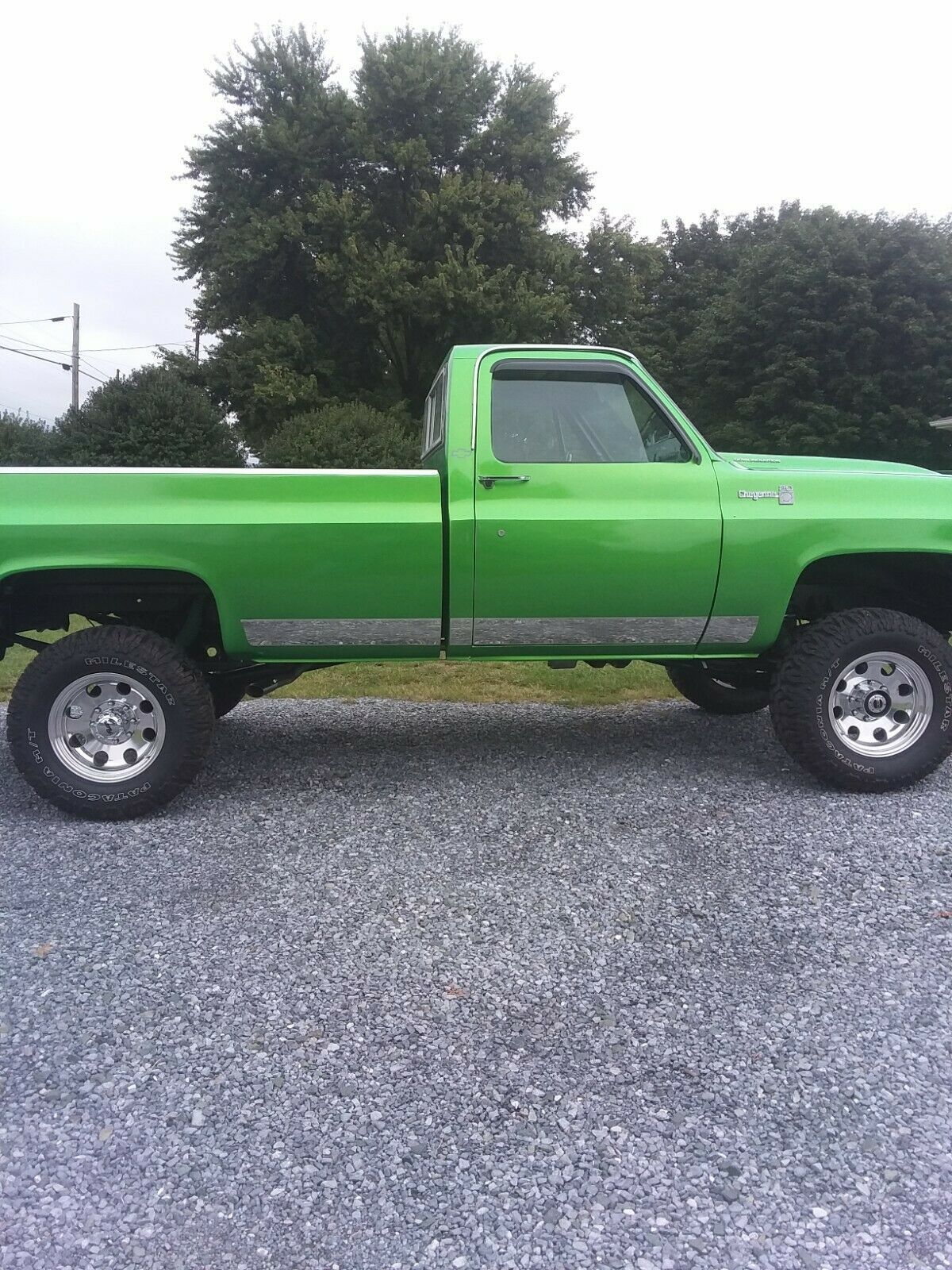 1979 Chevrolet C-10 CHEYENNE - photo 6