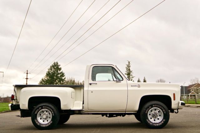 1979 Chevrolet C/K Pickup 1500 Scottsdale Sport Trim - photo 3