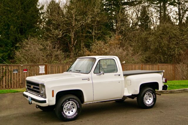 1979 Chevrolet C/K Pickup 1500 Scottsdale Sport Trim - photo 4